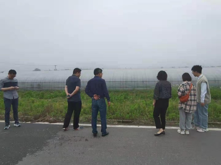 日本av在线